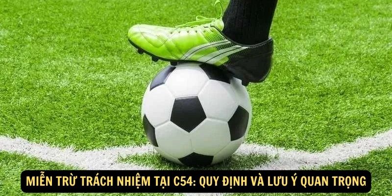 Miễn Trừ Trách Nhiệm Tại C54: Quy Định Và Lưu Ý Quan Trọng